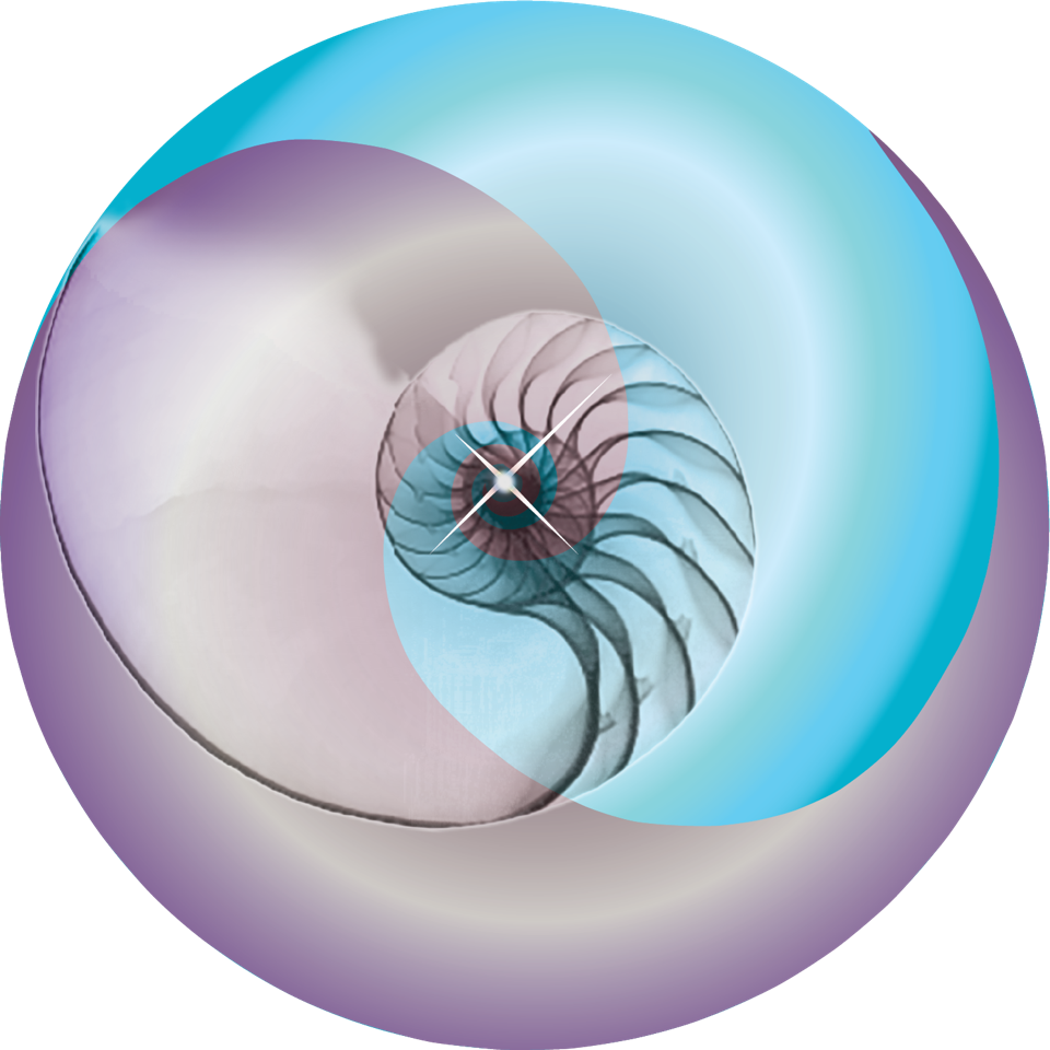 A Practice for Wholeness  Logo